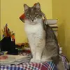 Отзыв от Лада Тихонова